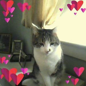 Meet your Posher, Linda